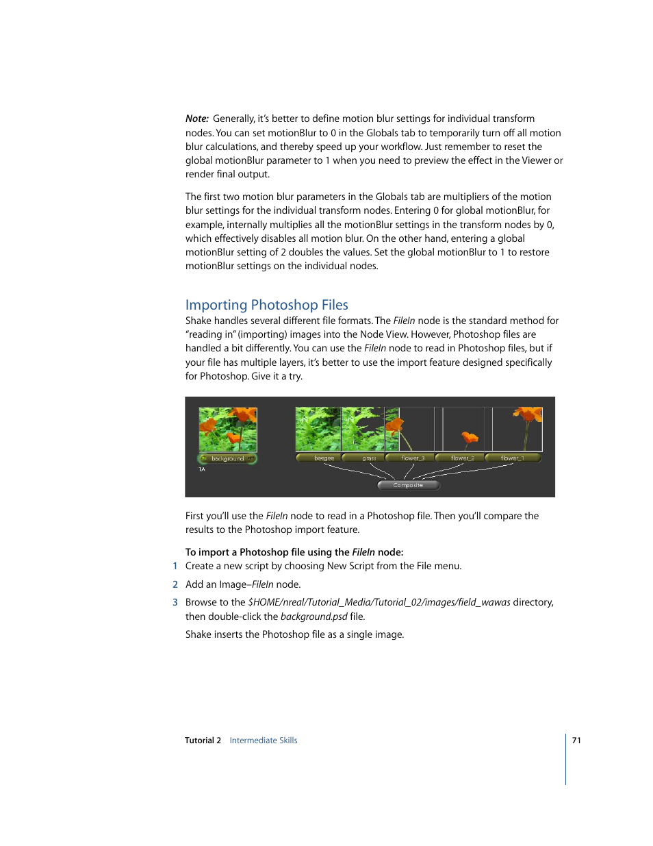 Importing photoshop files | Apple Shake 4 Tutorials User Manual | Page 71 / 260