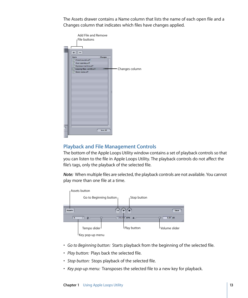 Playback and file management controls | Apple Loops Utility 3 User Manual | Page 13 / 22