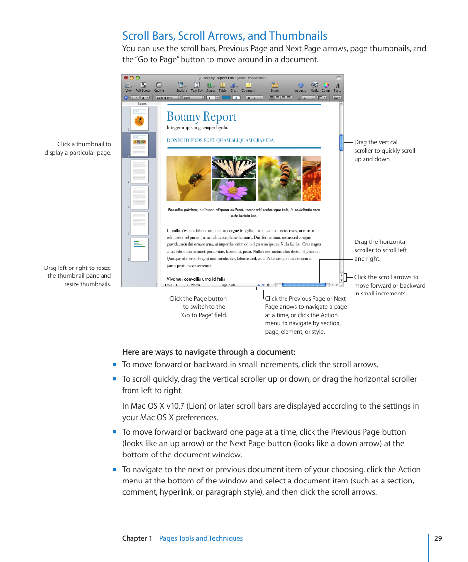 Scroll bars, scroll arrows, and thumbnails, 29 scroll bars, scroll arrows, and thumbnails | Apple Pages '09 User Manual | Page 29 / 279