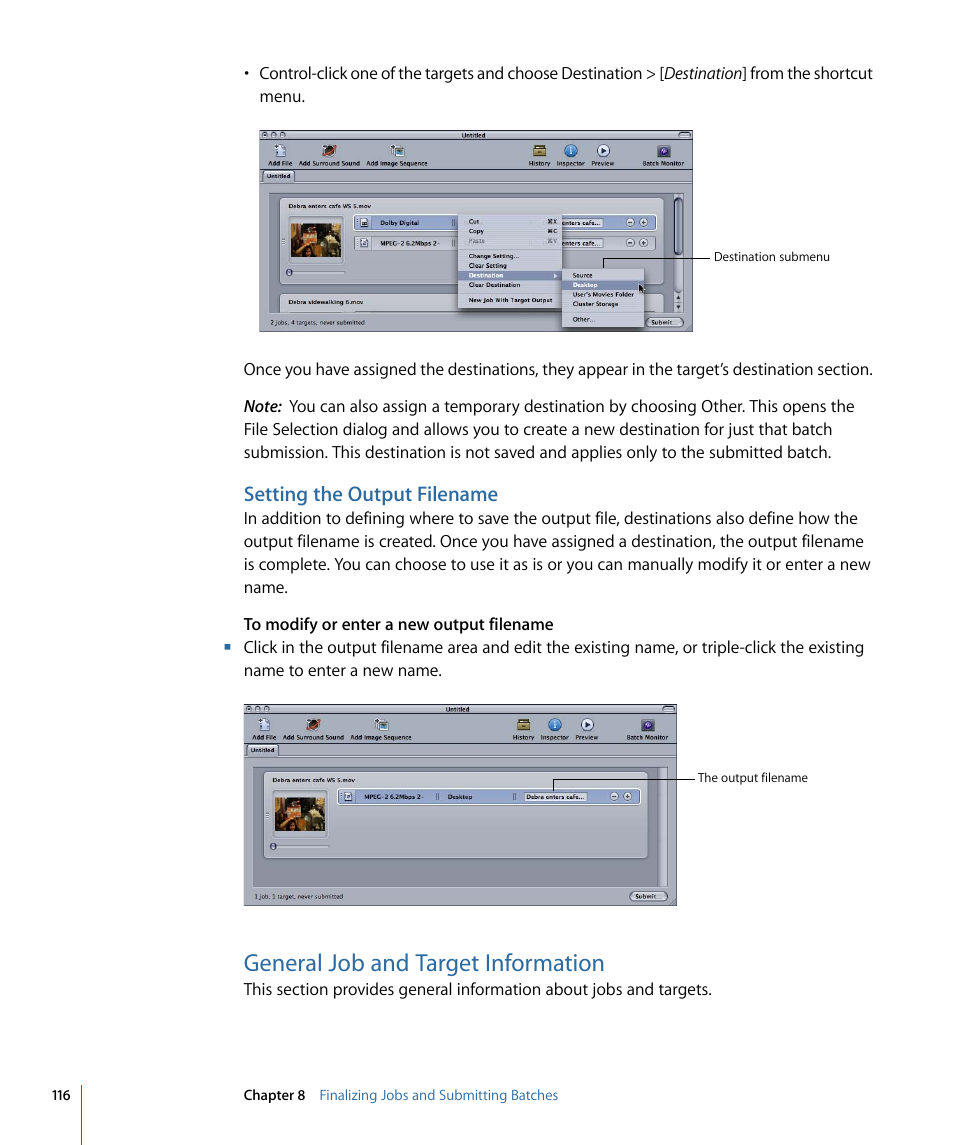 Setting the output filename, General job and target information | Apple Compressor 3 User Manual | Page 116 / 368