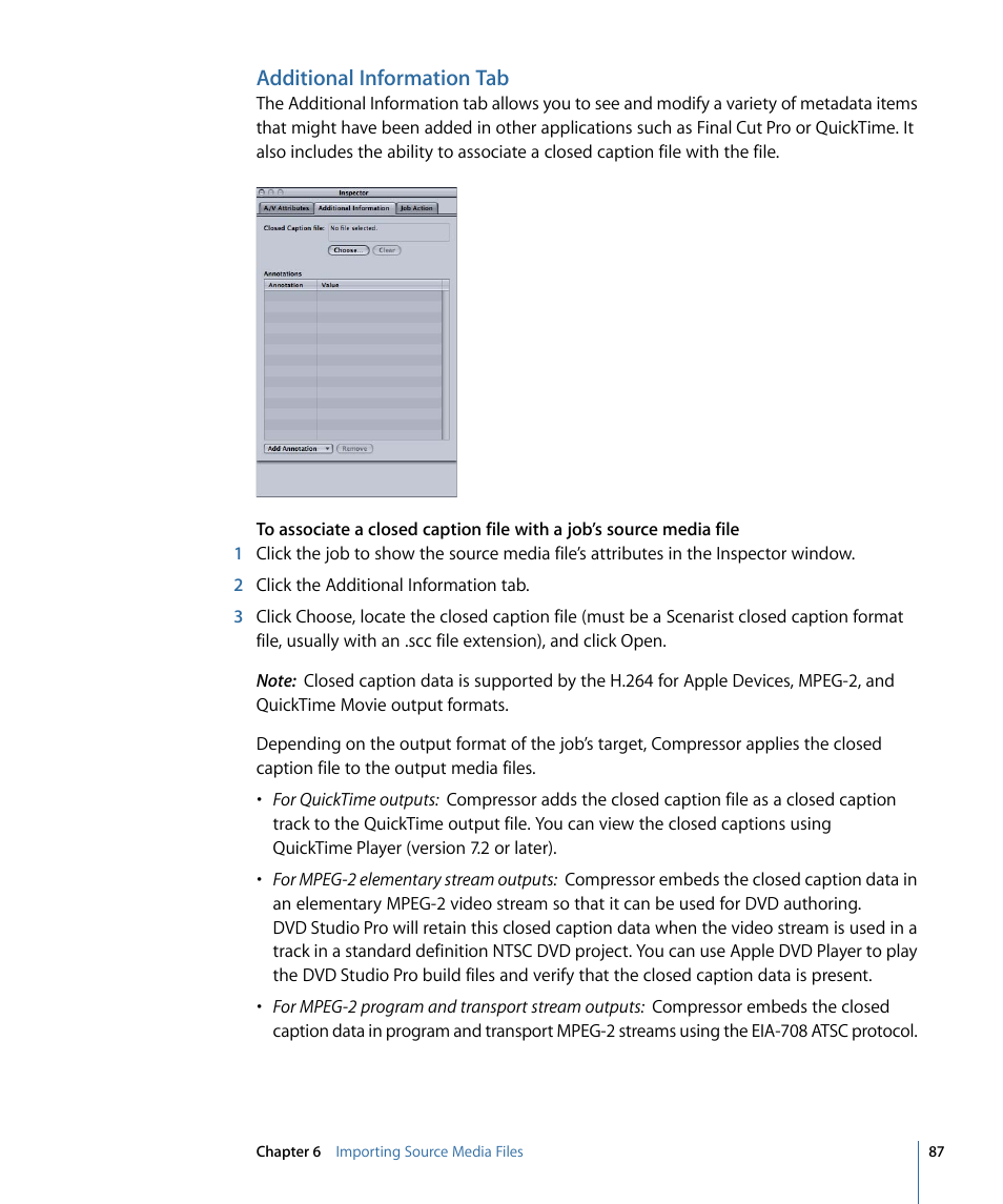 Additional information tab | Apple Compressor 3 User Manual | Page 87 / 368