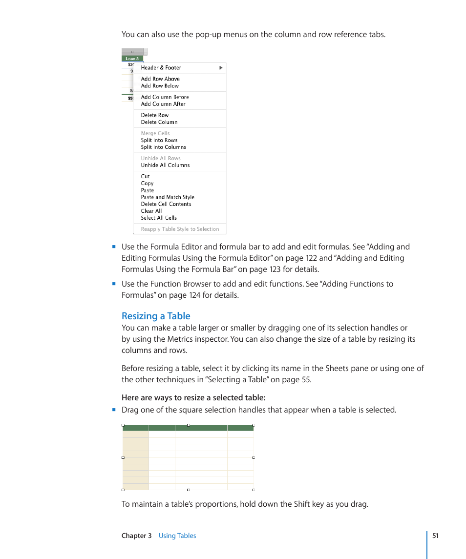 Resizing a table | Apple Numbers '09 User Manual | Page 51 / 254