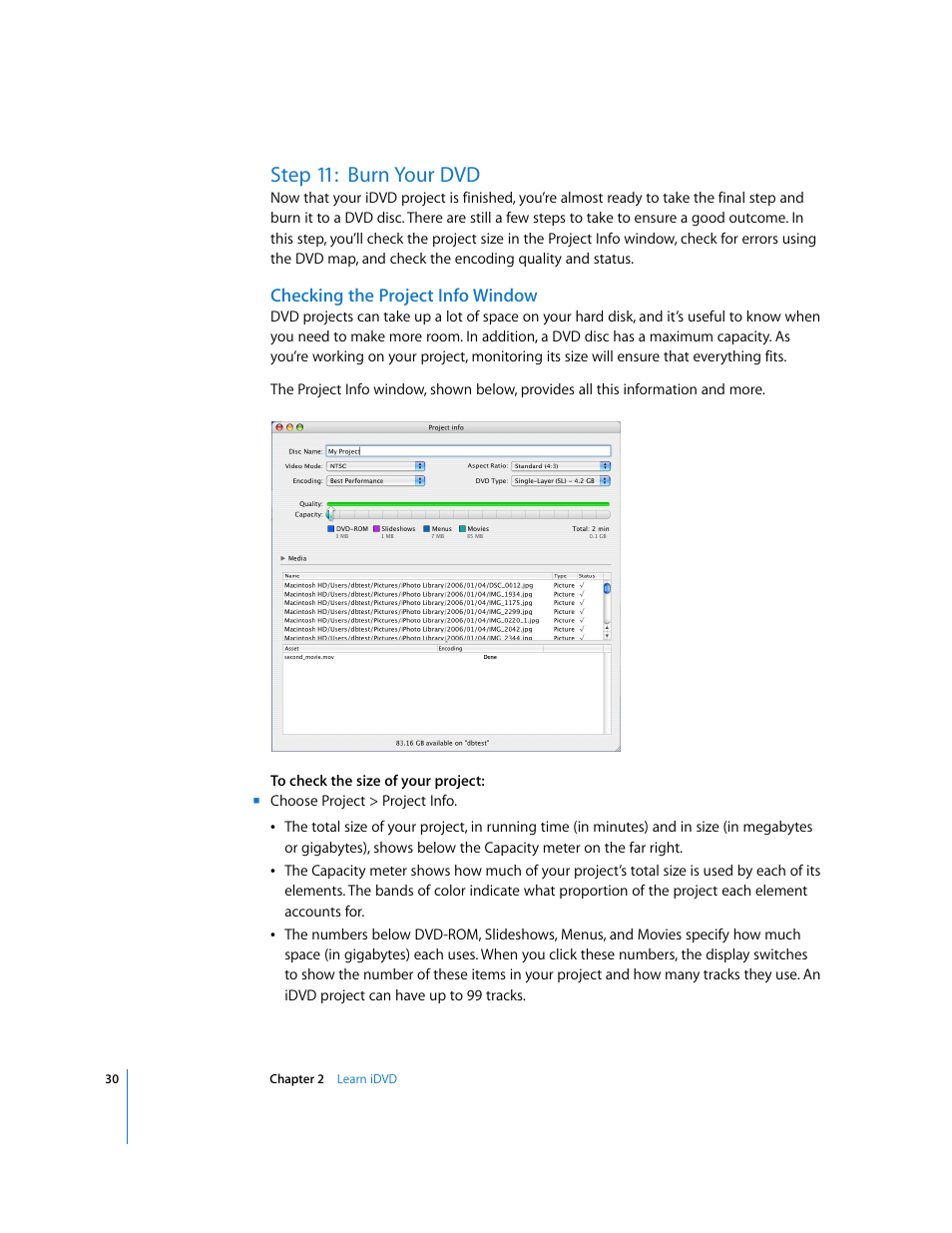 Step 11:burn your dvd, Checking the project info window, Step 11: burn your dvd | Apple iDVD '08 User Manual | Page 30 / 35