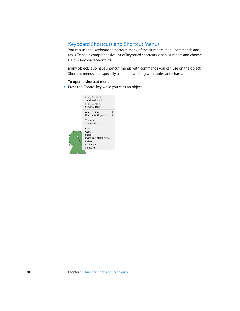 Keyboard shortcuts and shortcut menus | Apple Numbers '08 User Manual | Page 30 / 295