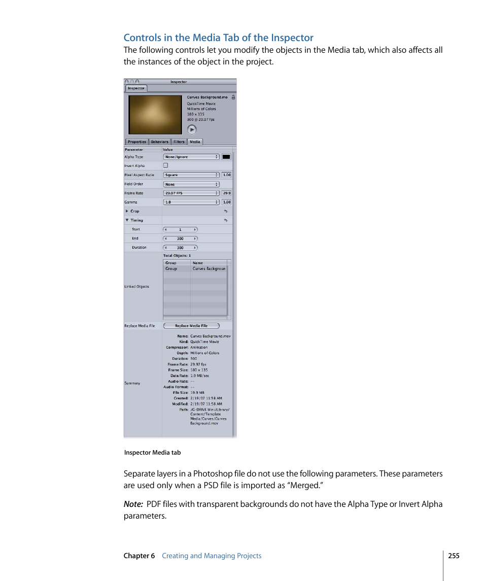 Controls in the media tab of the inspector | Apple Motion 4 User Manual | Page 255 / 1498