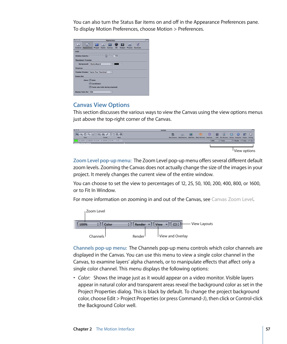 Canvas view options | Apple Motion 4 User Manual | Page 57 / 1498