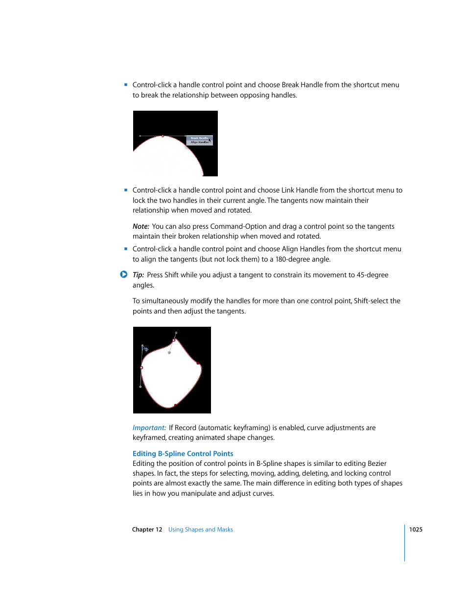 Editing b, Spline control points, Editing b-spline | Control points | Apple Motion 3 User Manual | Page 1025 / 1288