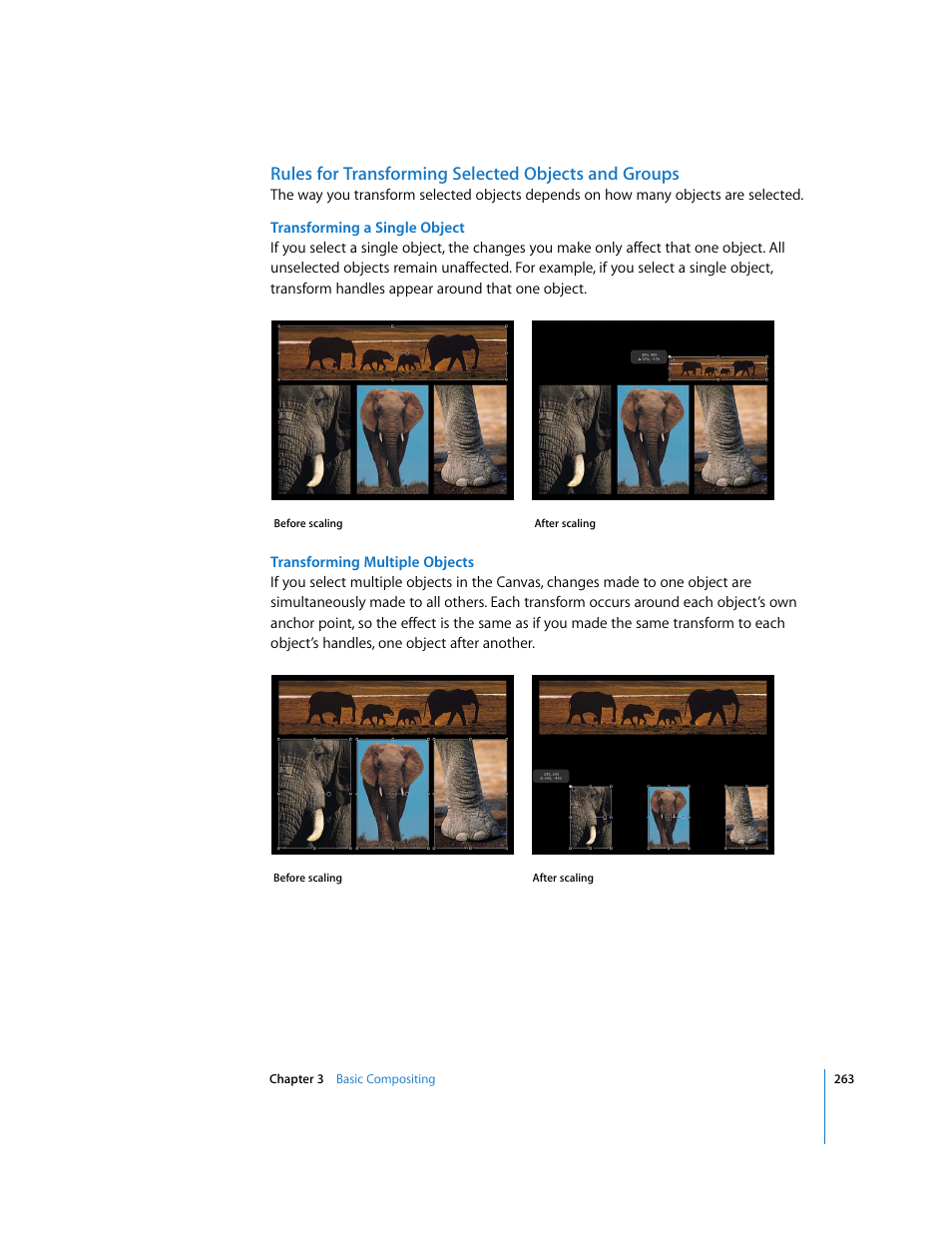 Rules for transforming selected objects and groups | Apple Motion 3 User Manual | Page 263 / 1288