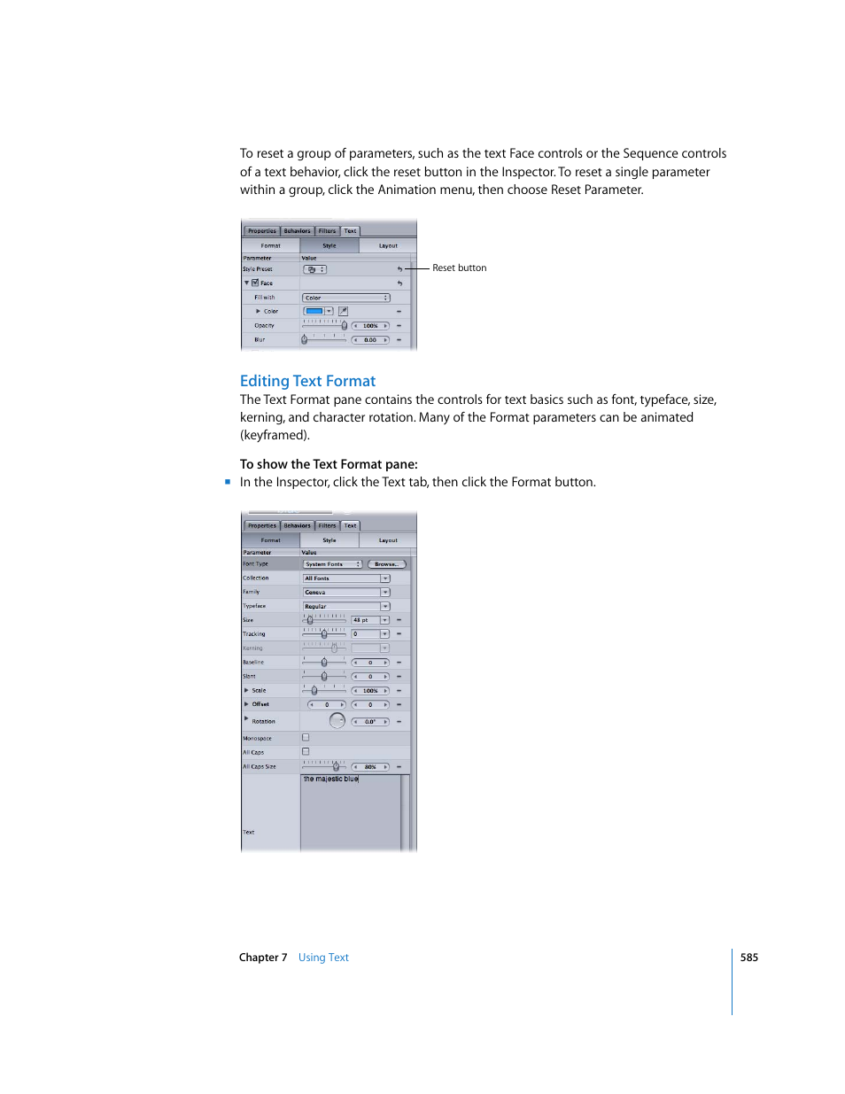 Editing text format, Editing, Text format | Apple Motion 3 User Manual | Page 585 / 1288