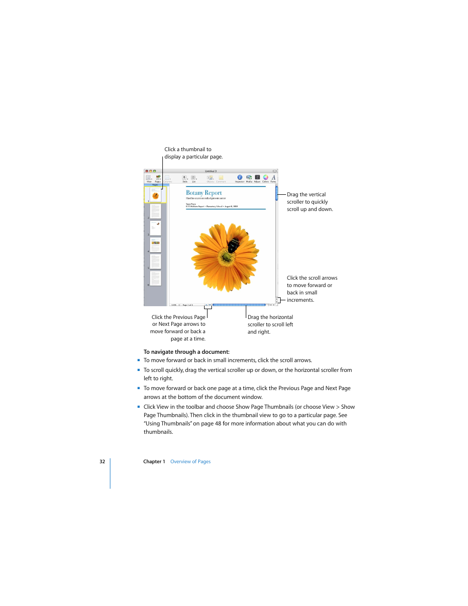 Apple Pages 2 User Manual | Page 32 / 250
