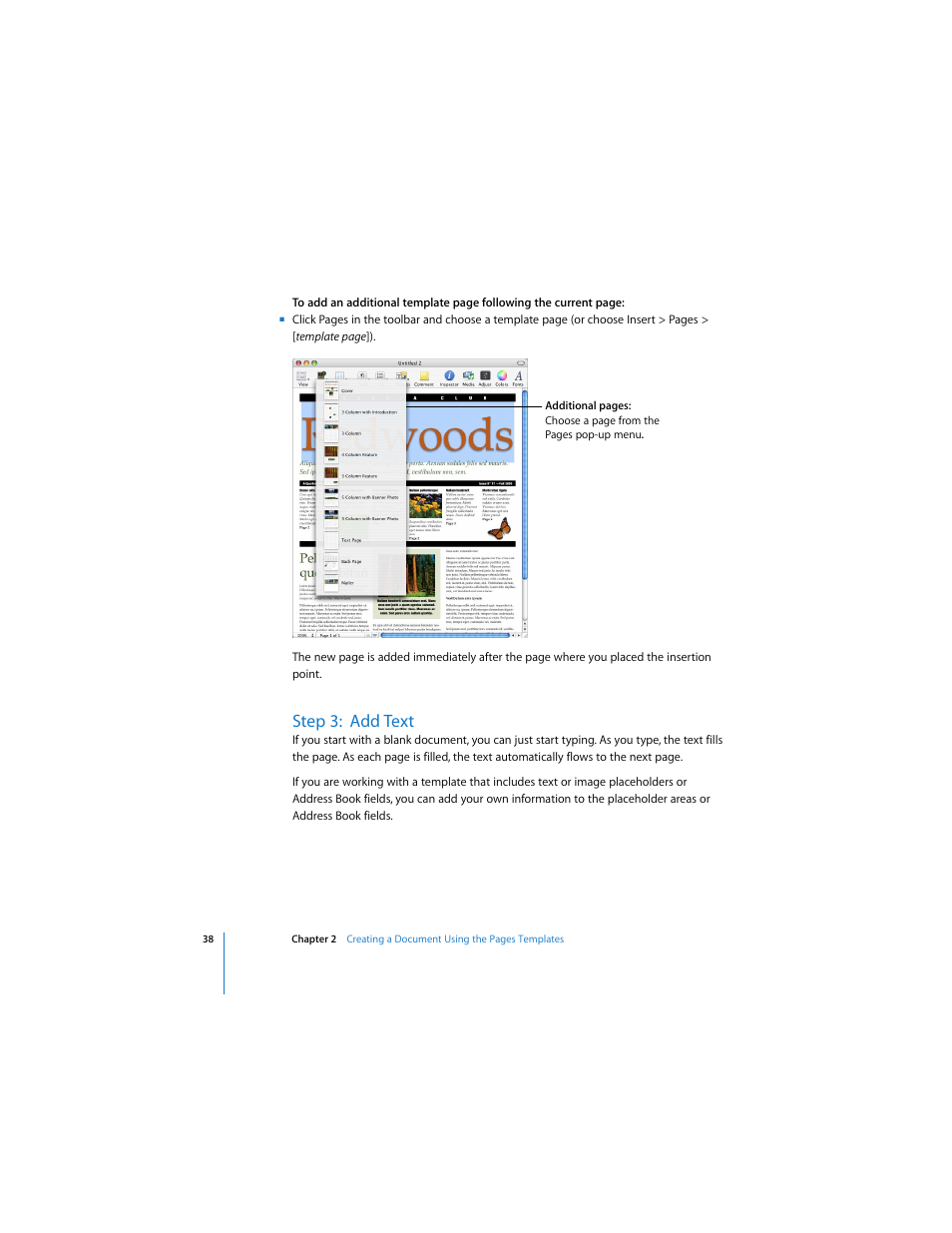 Step 3:add text, Step 3: add text | Apple Pages 2 User Manual | Page 38 / 250