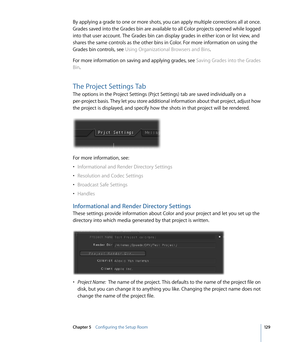 The project settings tab, Informational and render directory settings | Apple Color 1.5 User Manual | Page 129 / 434