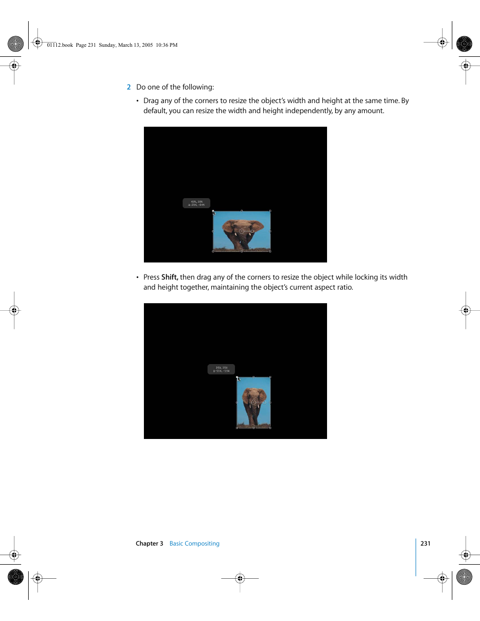 Apple Motion 2 User Manual | Page 231 / 999