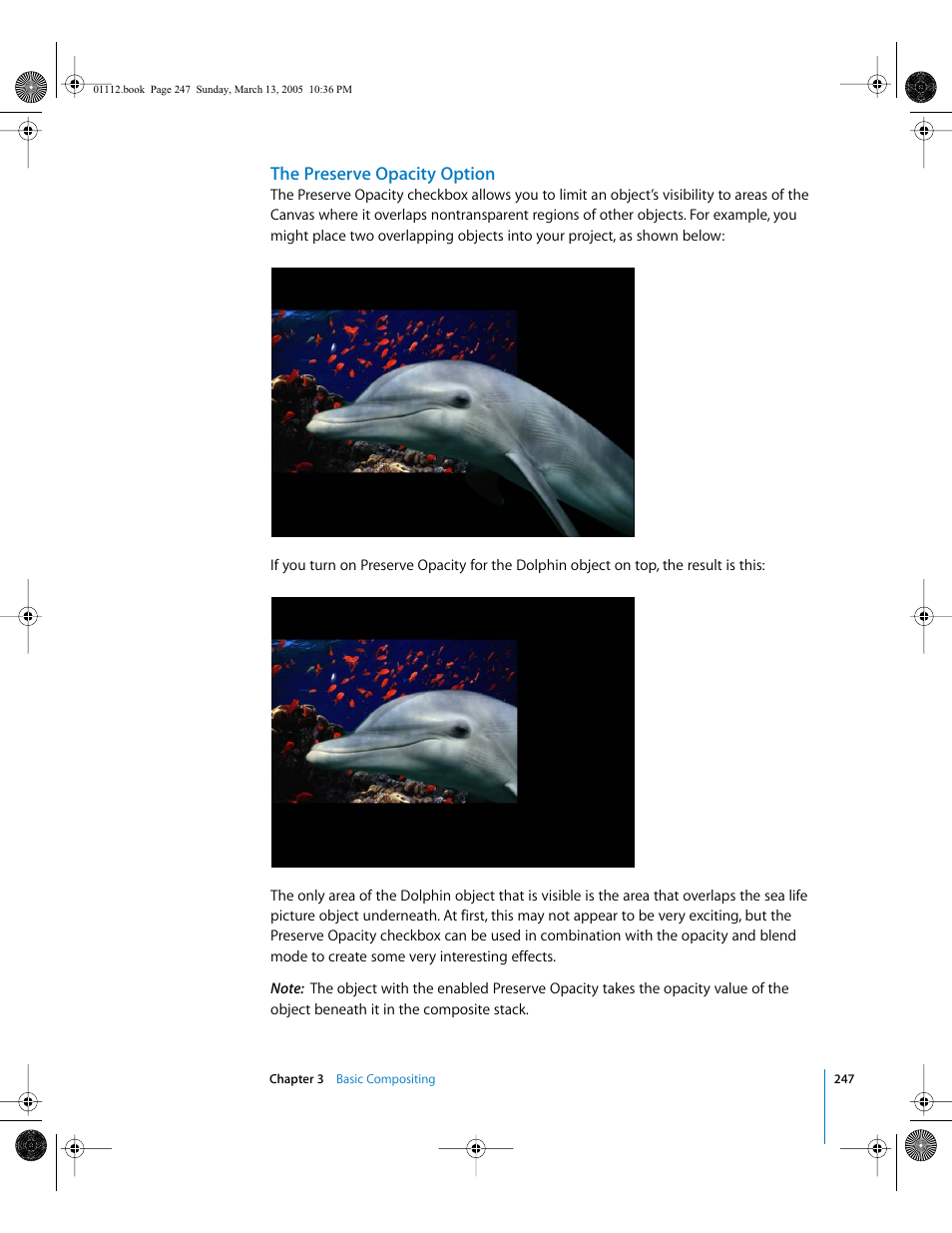 The preserve opacity option | Apple Motion 2 User Manual | Page 247 / 999