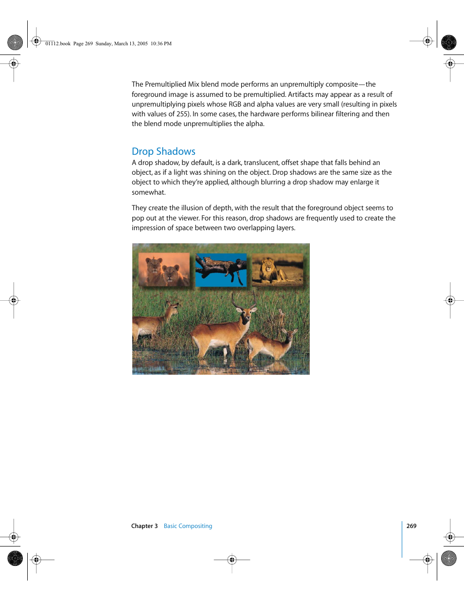 Drop shadows | Apple Motion 2 User Manual | Page 269 / 999