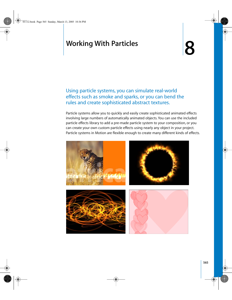 Working with particles, Chapter | Apple Motion 2 User Manual | Page 565 / 999