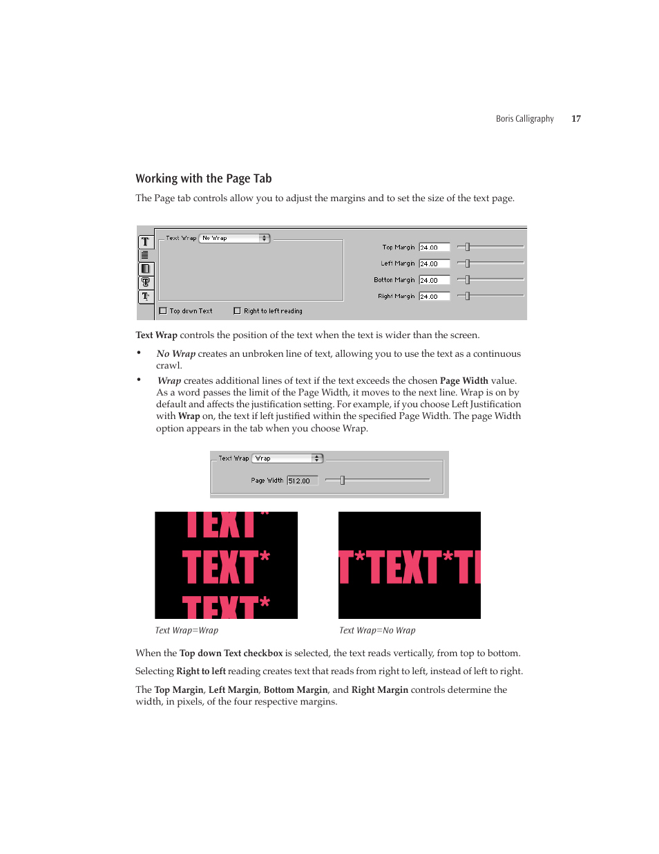 Working with the page tab | Boris FX Boris Calligraphy Version 2.0 User Manual | Page 17 / 84