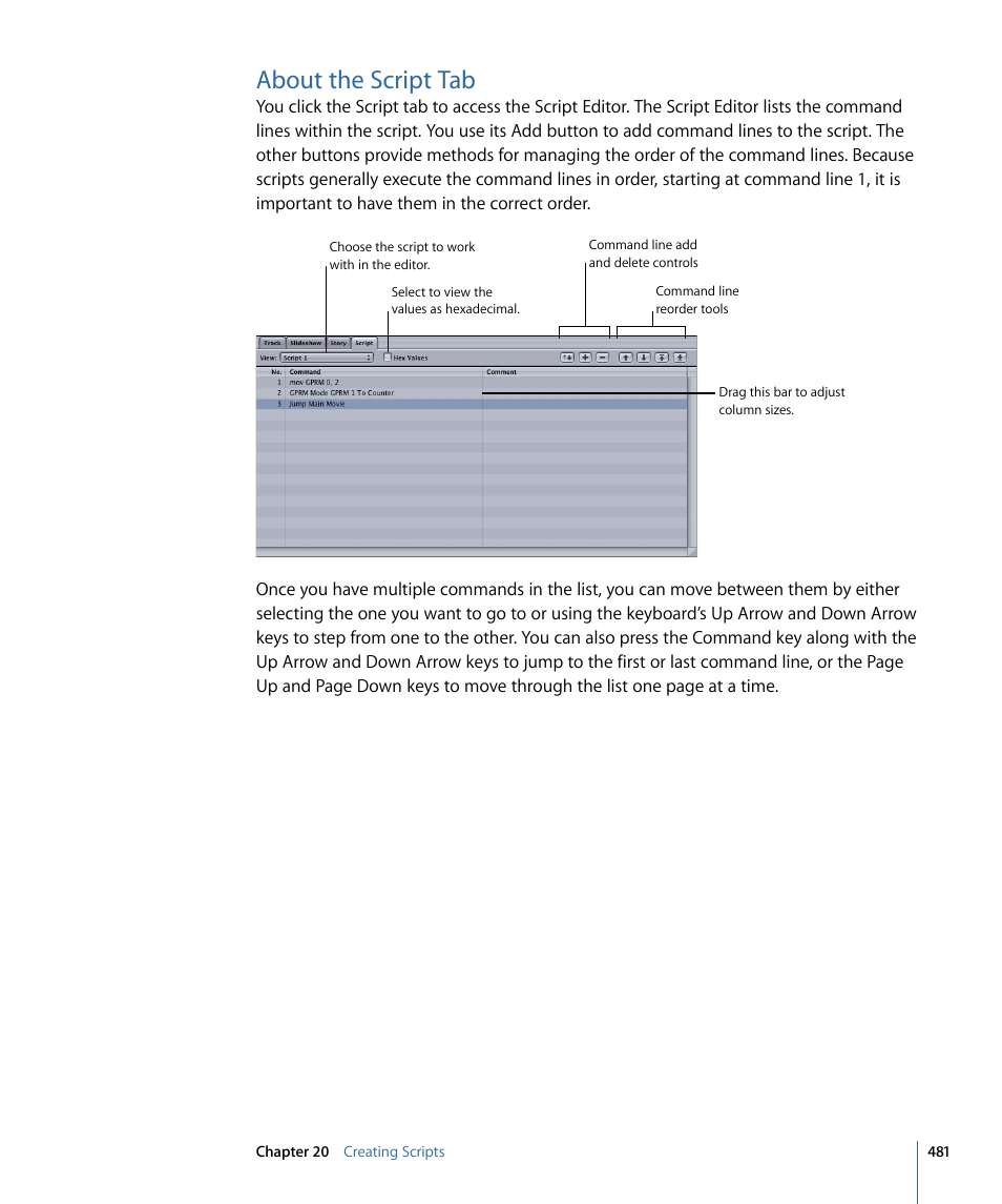 About the script tab | Apple DVD Studio Pro 4 User Manual | Page 481 / 656