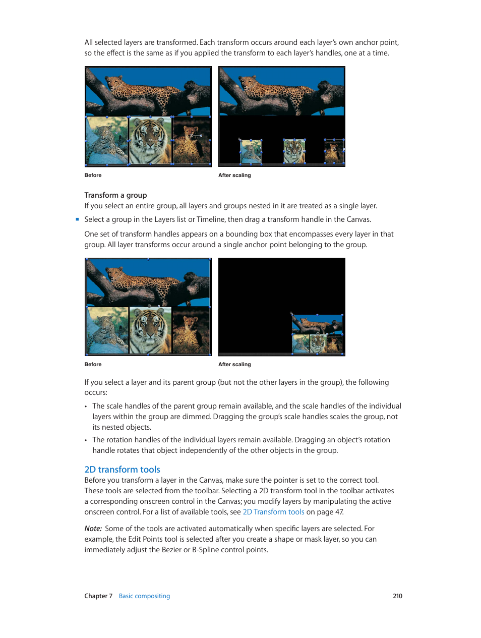 2d transform tools | Apple Motion 5.1.1 User Manual | Page 210 / 1090
