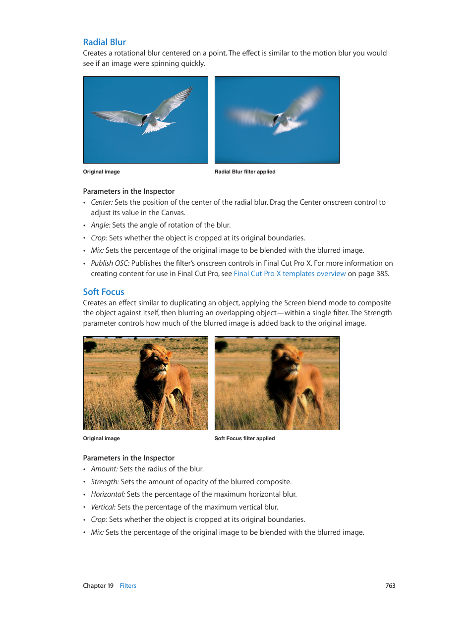 Radial blur, Soft focus | Apple Motion 5.1.1 User Manual | Page 763 / 1090