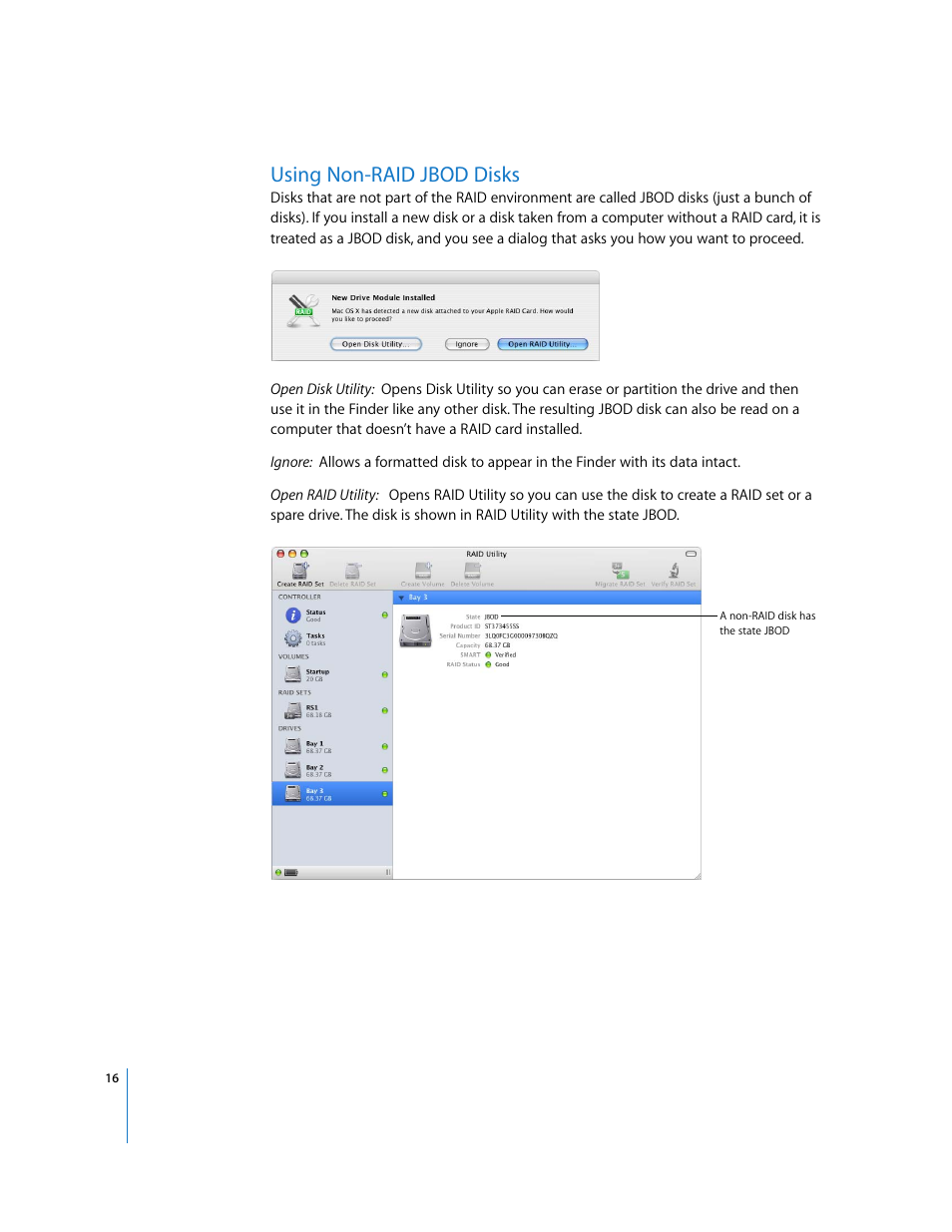 Using non-raid jbod disks | Apple RAID Utility User Manual | Page 16 / 18