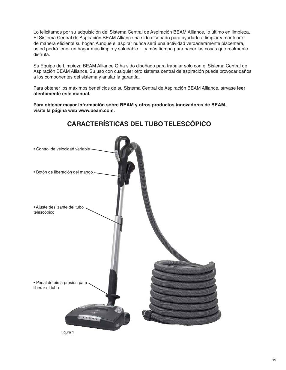Características del tubo telescópico | Beam Electrolux Alliance Q User Manual | Page 19 / 24