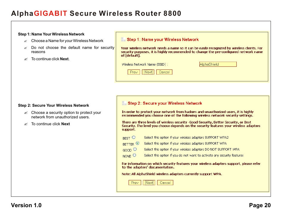 Alpha secure wireless router 8800 gigabit | AlphaShield 8800 User Manual | Page 20 / 81