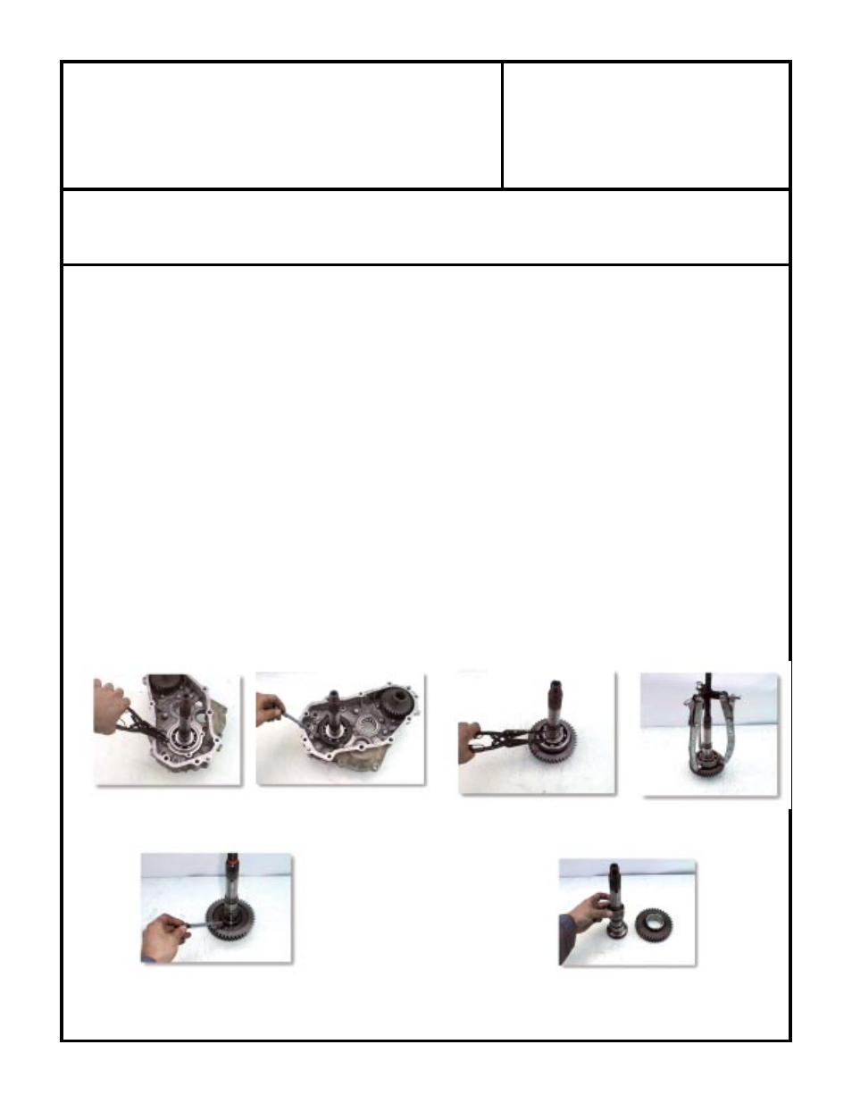 Advance Adapters 50-5915 User Manual | 3 pages