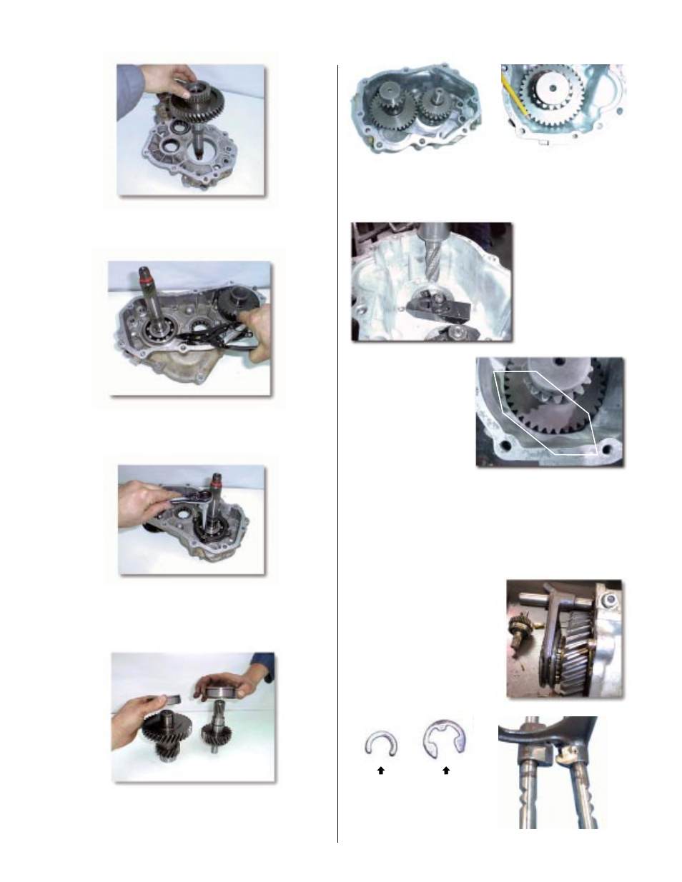 Advance Adapters 477021 User Manual | Page 10 / 14