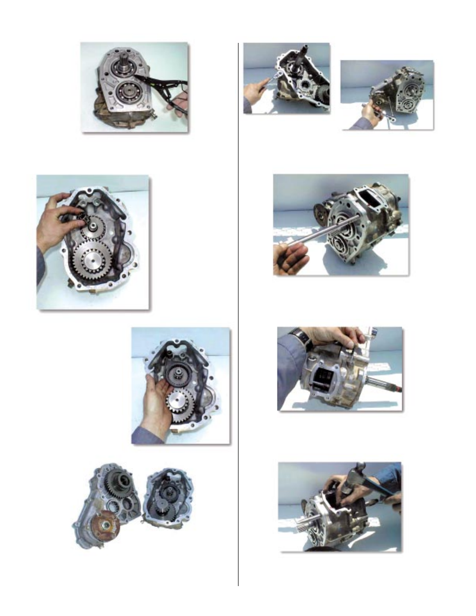 Advance Adapters 477021 User Manual | Page 11 / 14