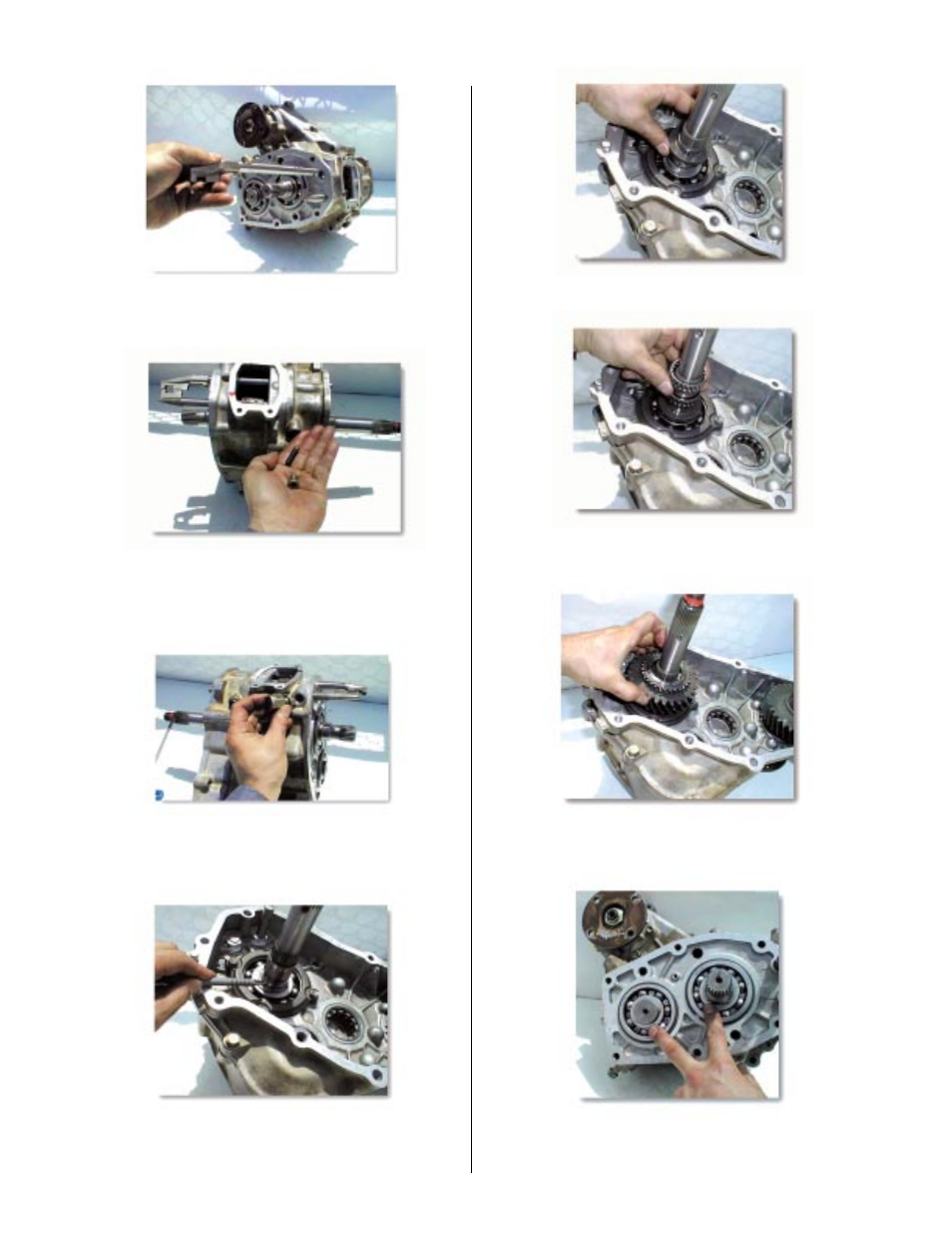 Advance Adapters 477021 User Manual | Page 12 / 14