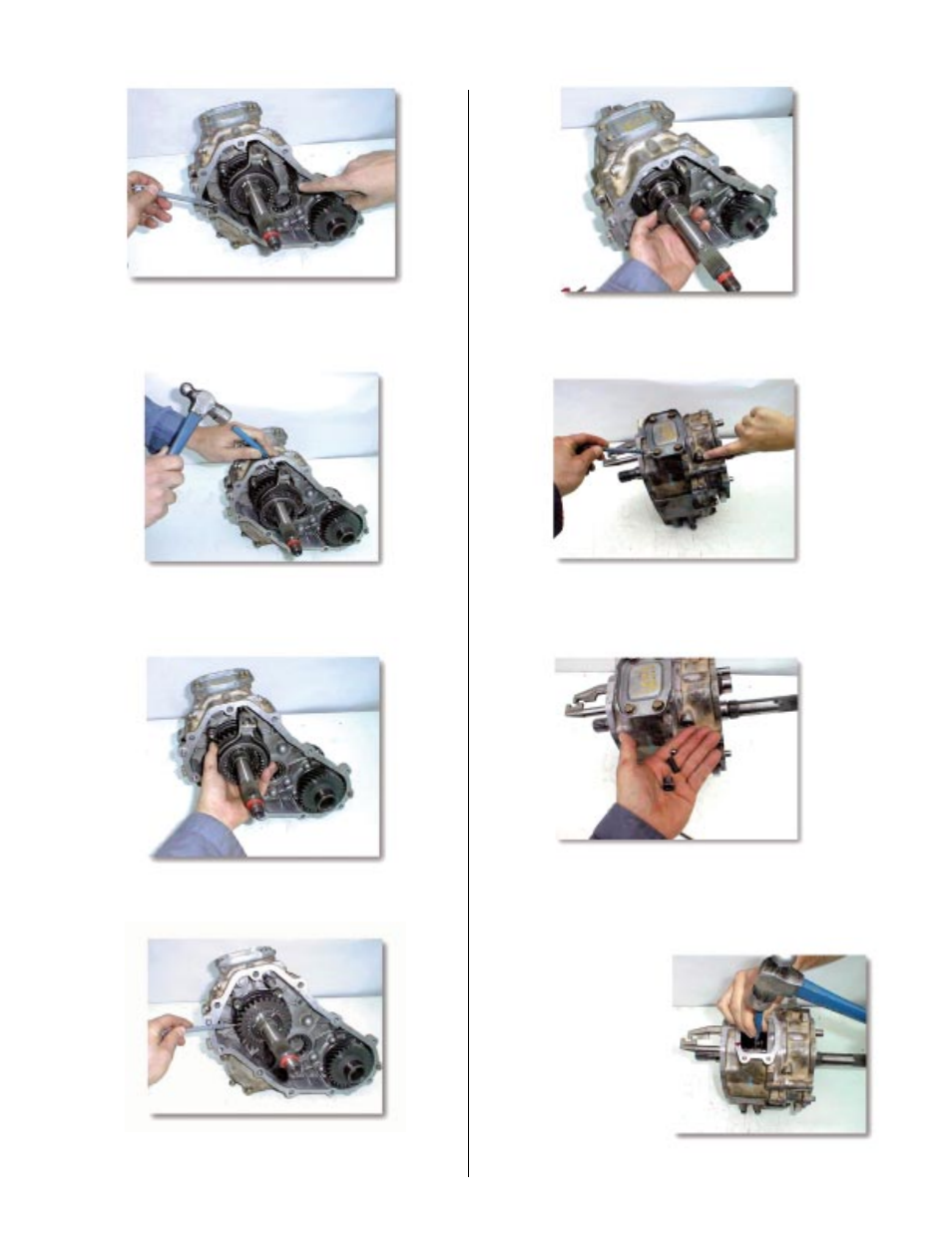 Advance Adapters 477021 User Manual | Page 7 / 14