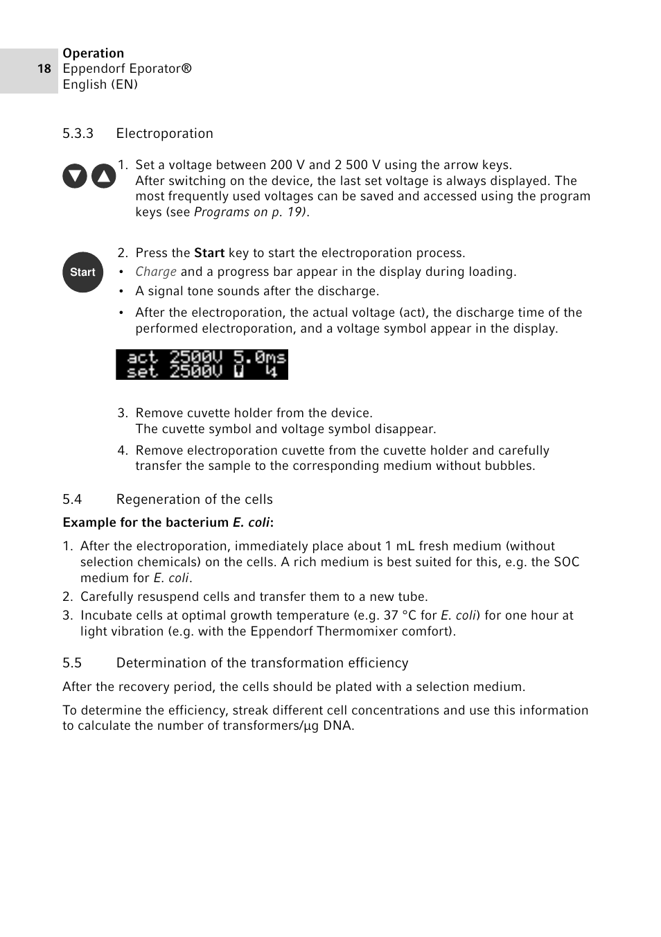 3 electroporation, 4 regeneration of the cells, 5 determination of the transformation efficiency | Electroporation, Regeneration of the cells, Determination of the transformation efficiency | Eppendorf Eporator User Manual | Page 18 / 38