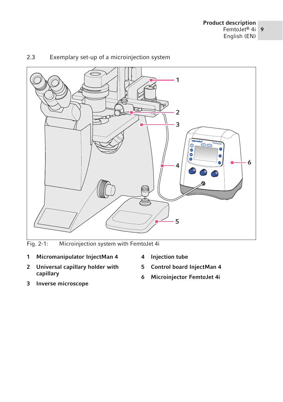 3 exemplary set-up of a microinjection system, Exemplary set-up of a microinjection system, Product description femtojet | 4i english (en) | Eppendorf FemtoJet 4x v.1 User Manual | Page 9 / 56