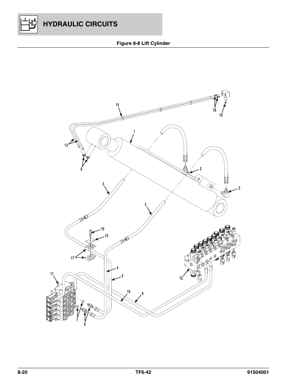 Figure 8-8 lift cylinder, Lift cylinder -20, Hydraulic circuits | JLG TF6-42 Parts Manual User Manual | Page 302 / 516