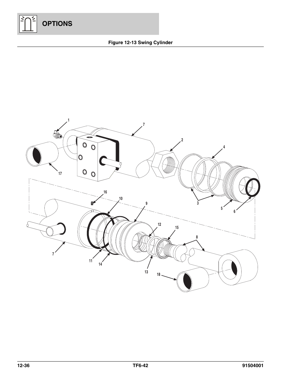Figure 12-13 swing cylinder, Swing cylinder -36, Options | JLG TF6-42 Parts Manual User Manual | Page 466 / 516