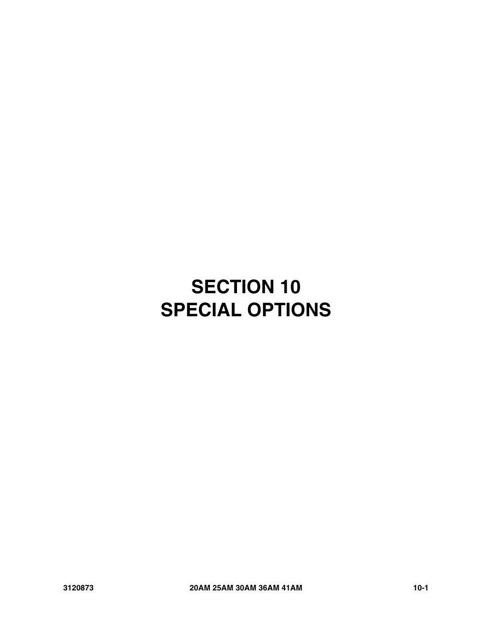 Section 10 special options, Section 10 - special options -1 | JLG 41AM (3120873-2013) Parts Manual User Manual | Page 165 / 180