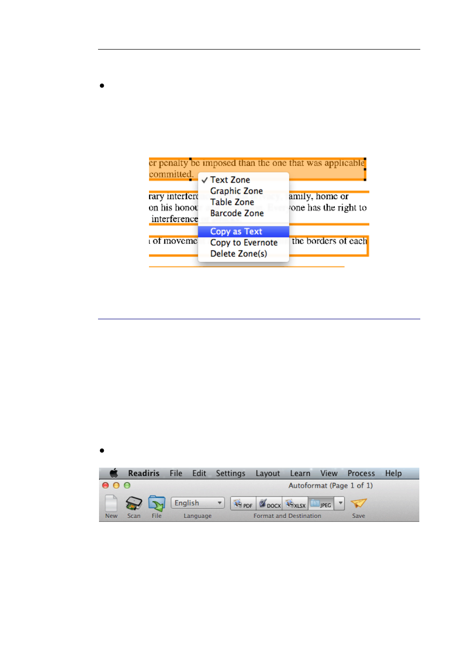 Saving documents as image files | I.R.I.S. Readiris 14 for Mac User Guide User Manual | Page 95 / 139