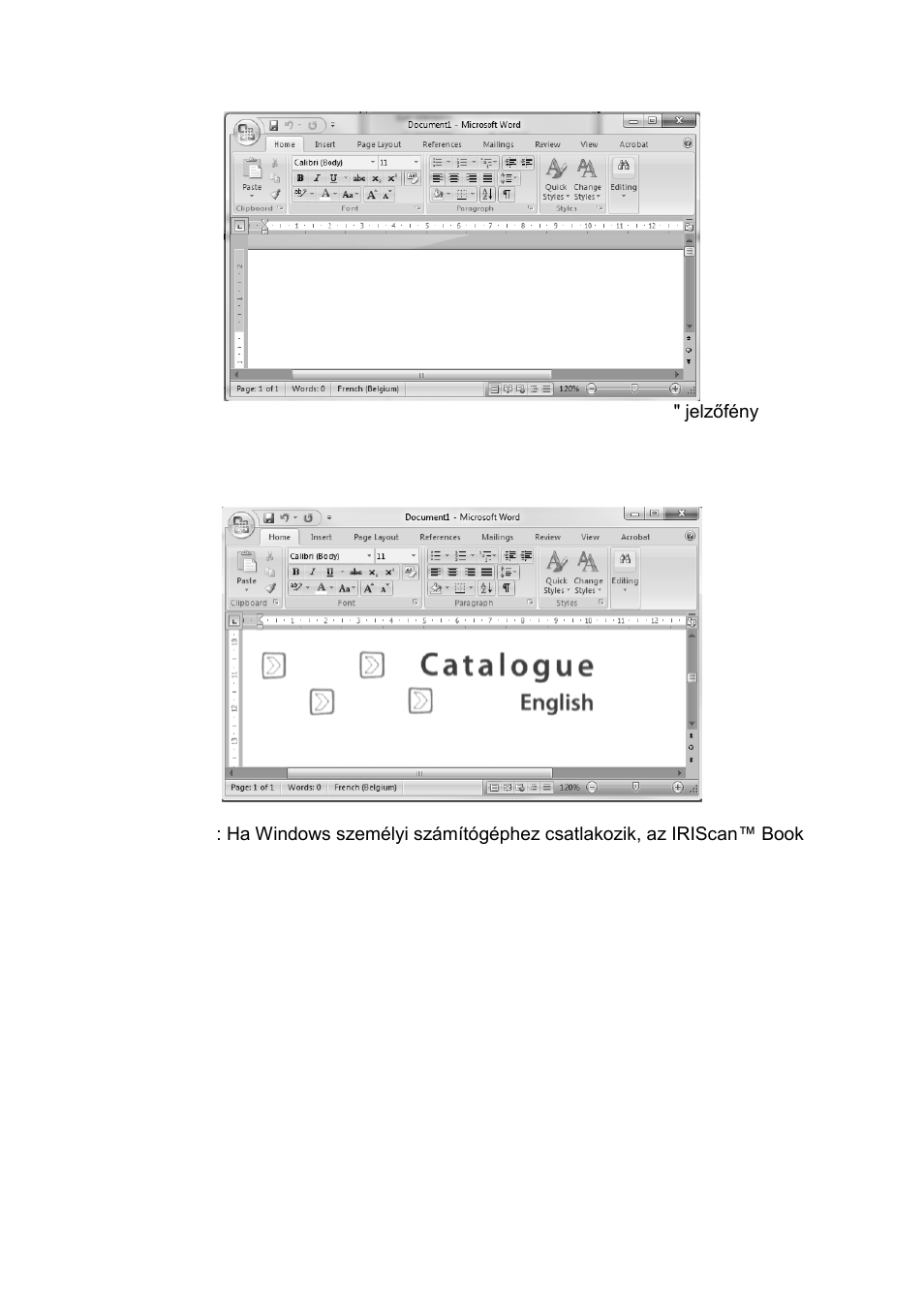 I.R.I.S. IRISCan Book Executive User Manual | Page 187 / 312