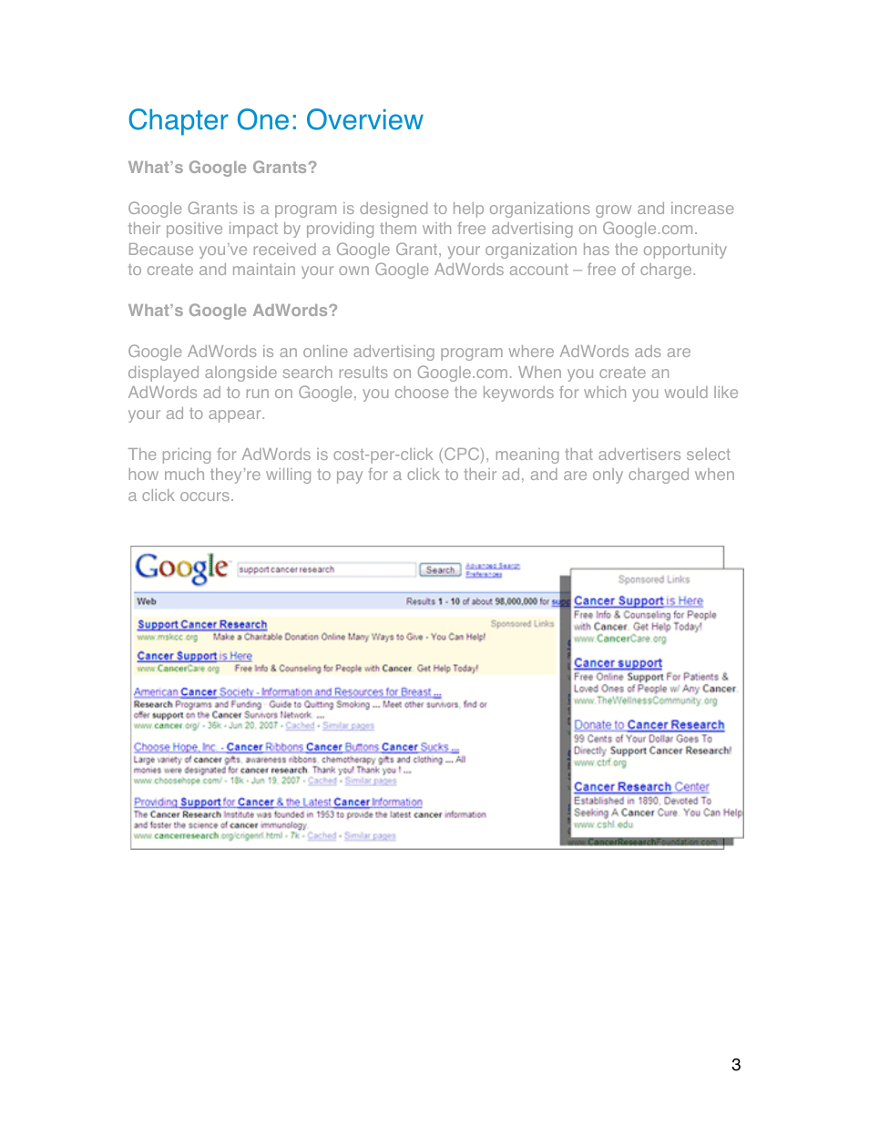 Chapter one: overview | Google Grants Account Creation Guide User Manual | Page 3 / 36