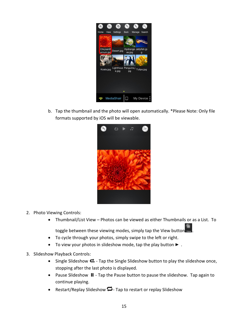 Photo viewing controls, Slideshow playback controls | IOGear GWFRSDU Manual User Manual | Page 15 / 103