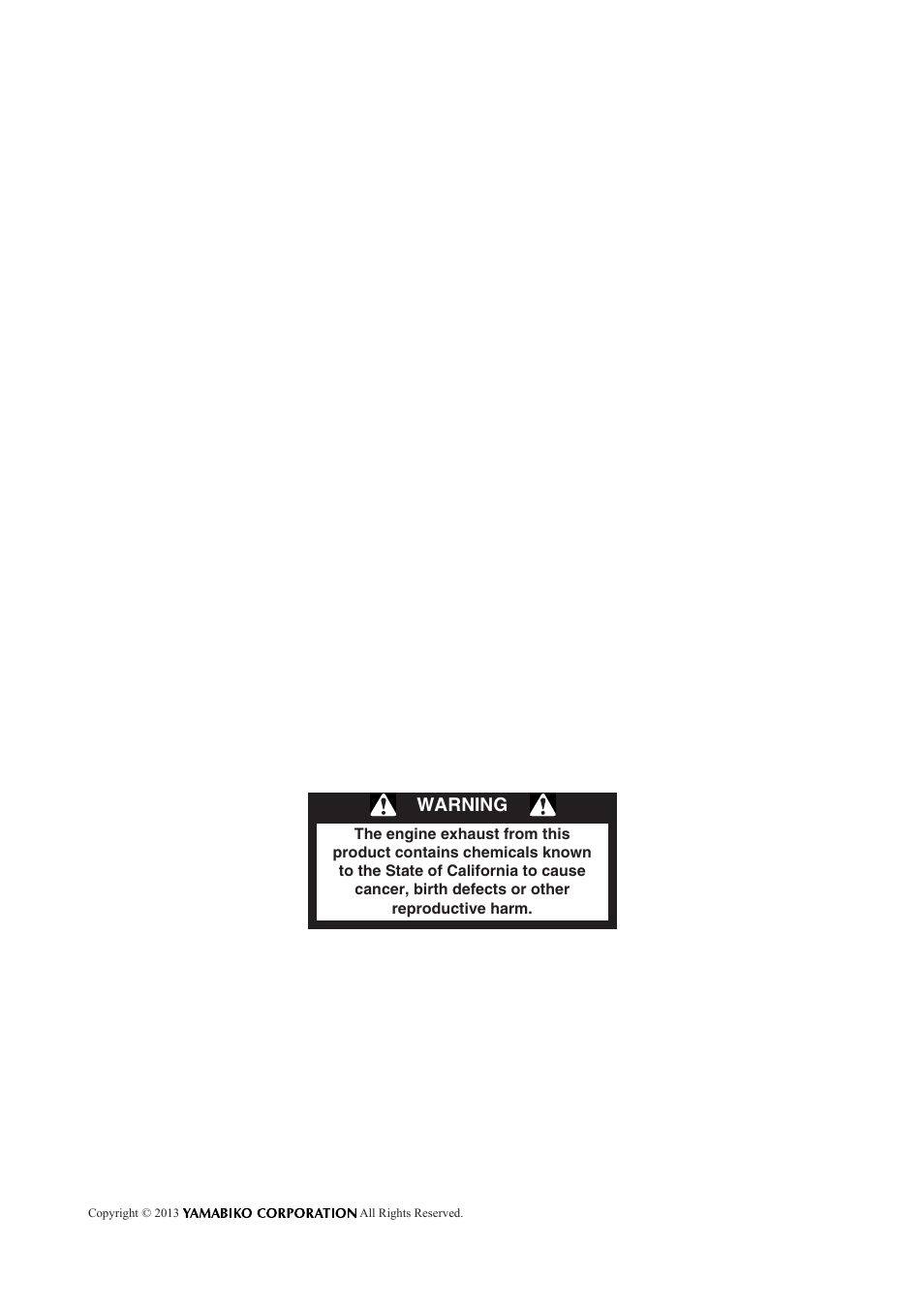 Warning | Echo CS-800P User Manual | Page 2 / 34