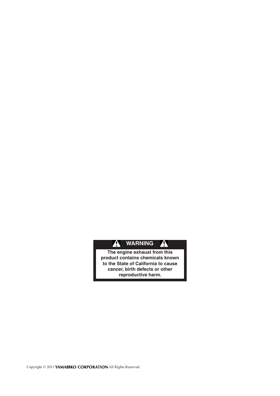Warning | Echo CS-600P Serial C22312001001 - C22312999999 User Manual | Page 2 / 34