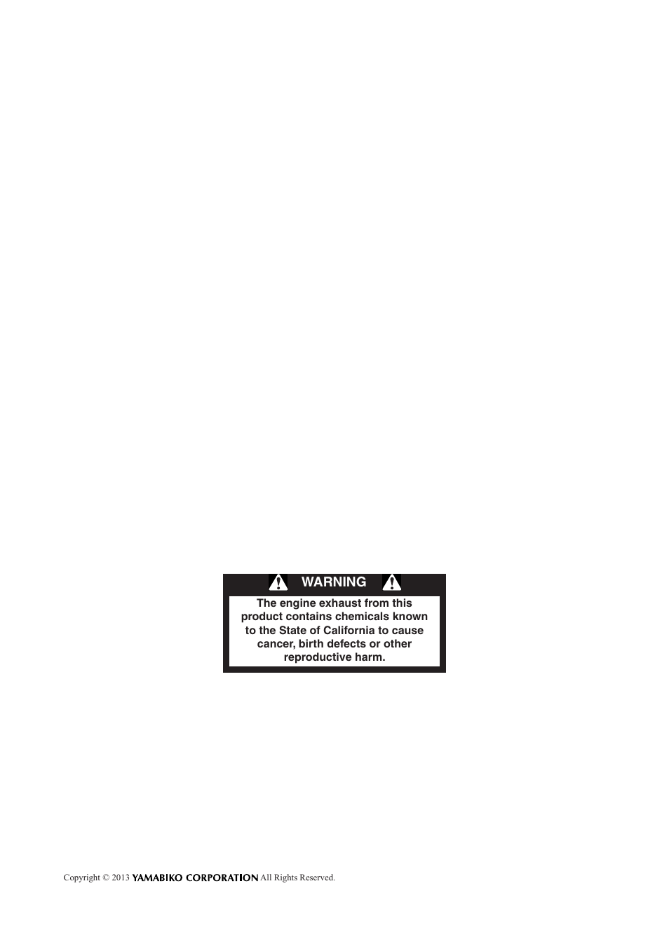 Warning | Echo CS-271T C26312001001 - C26312999999 User Manual | Page 2 / 36
