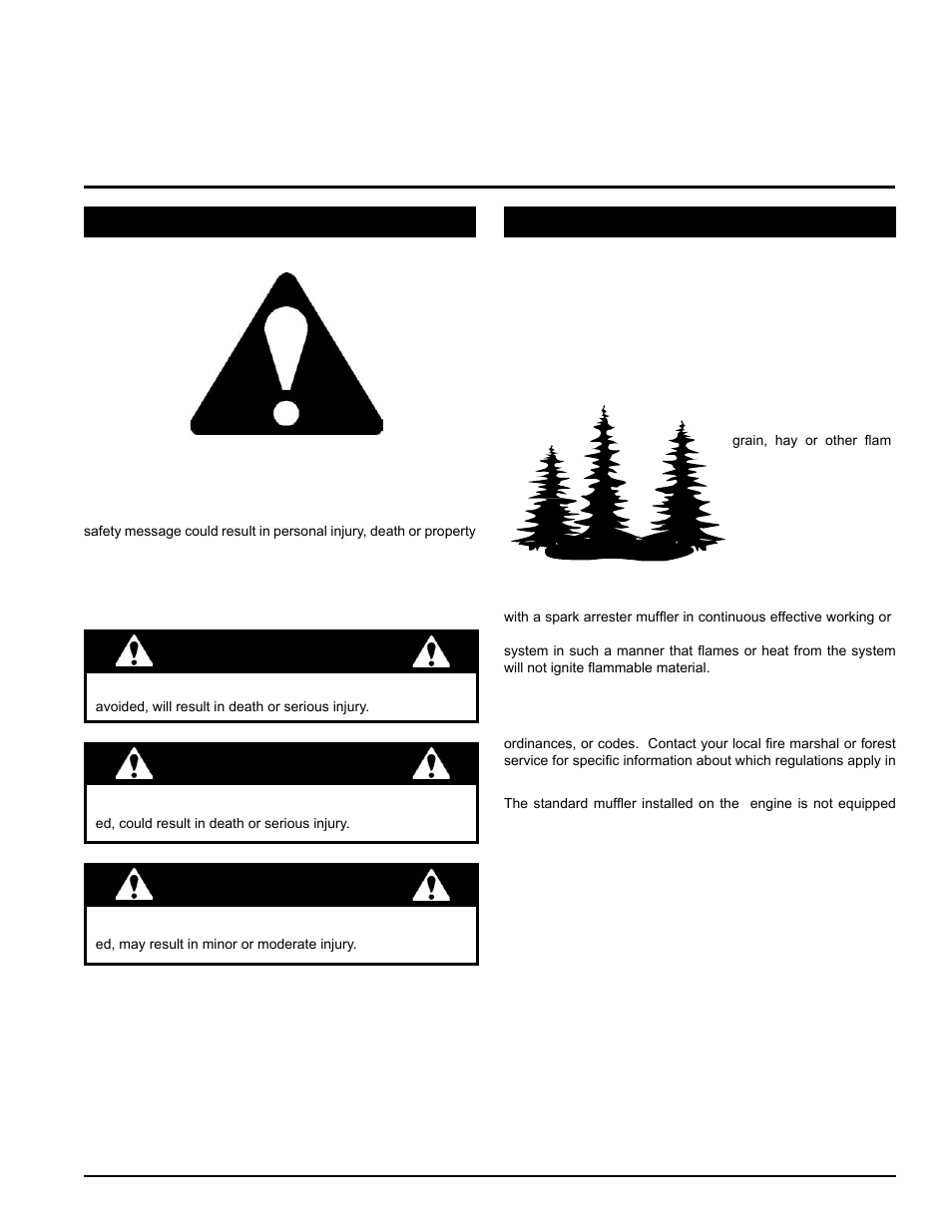 Safety, Caution, Warning | Danger | Echo 74624 Owners Manual v.2 User Manual | Page 5 / 32