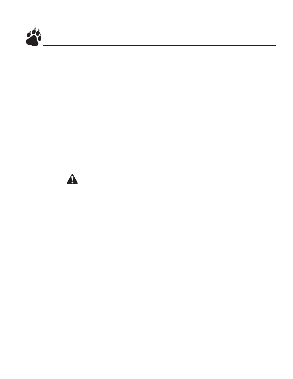 Safety instructions-cont | Echo 74520 Owners Manual v.1 User Manual | Page 8 / 32