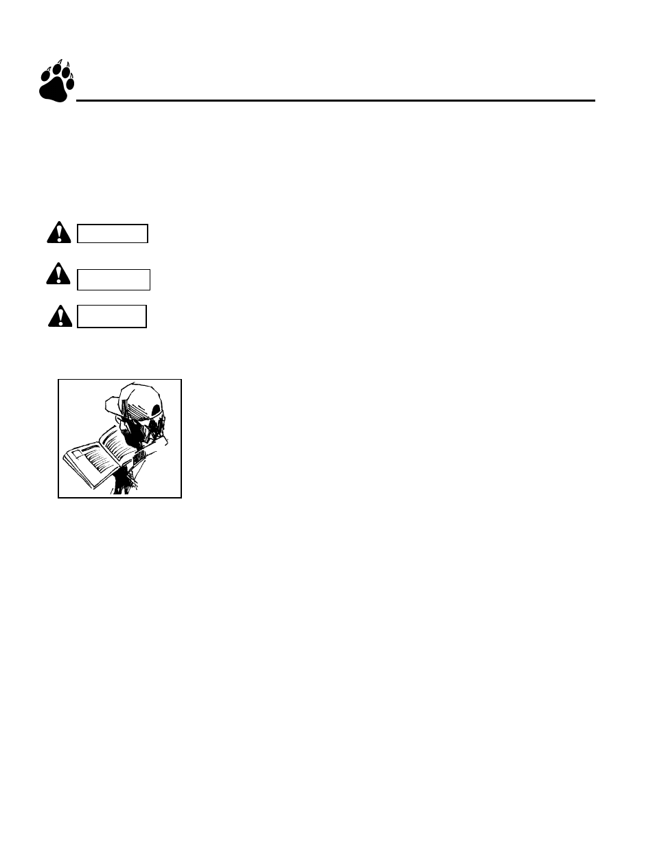 Safety instructions | Echo 73125 Owners Manual v.2 User Manual | Page 4 / 19