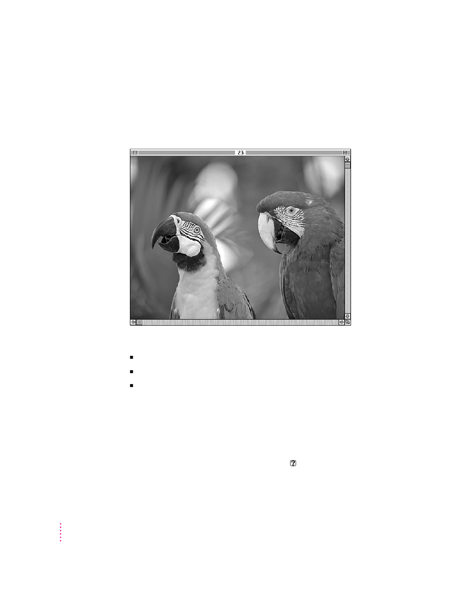 Working with photo cds | Apple Macintosh 6500 User Manual | Page 82 / 260