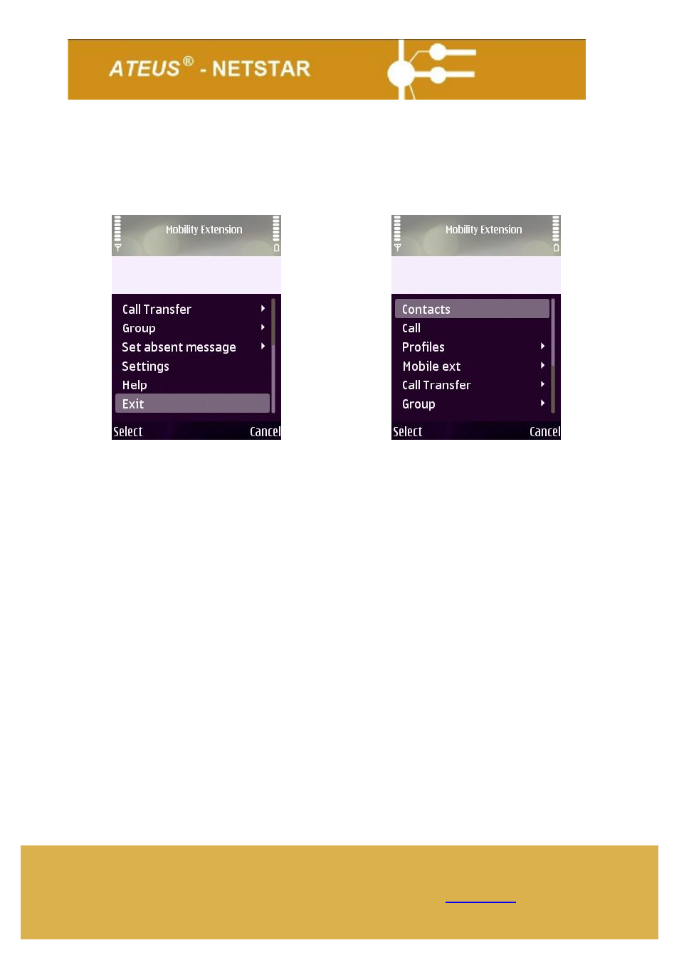Main menu | 2N Mobility Extension Application User Manual | Page 4 / 8