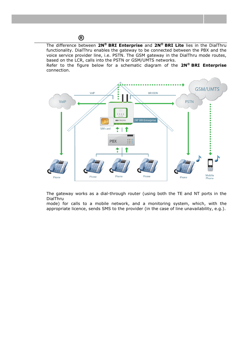 Dialthru (2n, Bri enterprise), Dialthru (2n ® bri enterprise) | Product description 1.1 | 2N BRI Lite/Enterprise v1.1 User Manual | Page 10 / 109